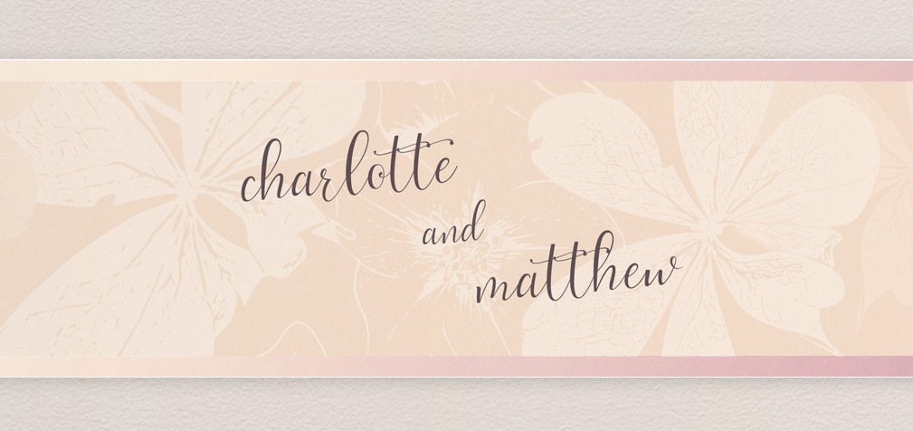 Napoli in Gelato - Bellyband Design